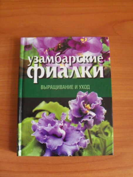 Вязаные узамбарские фиалки