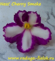 Ness' Cherry Smoke