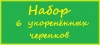 Набор из 6 укоренённых черенков