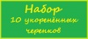 Набор из 10 укоренённых черенков 