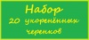 набор из 20 укоренённых черенков 